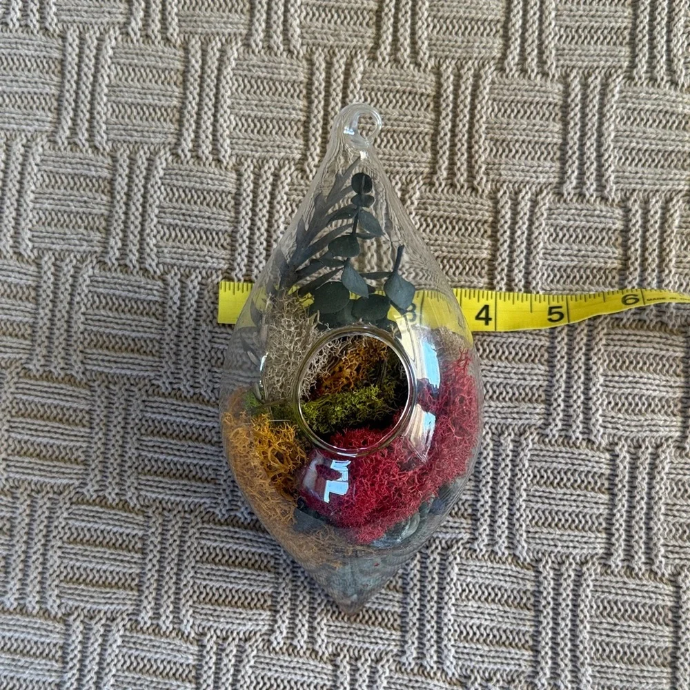 Glass Teardrop Hanging Terrarium with Red, Yellow, and Green Moss - Picture 10 of 10